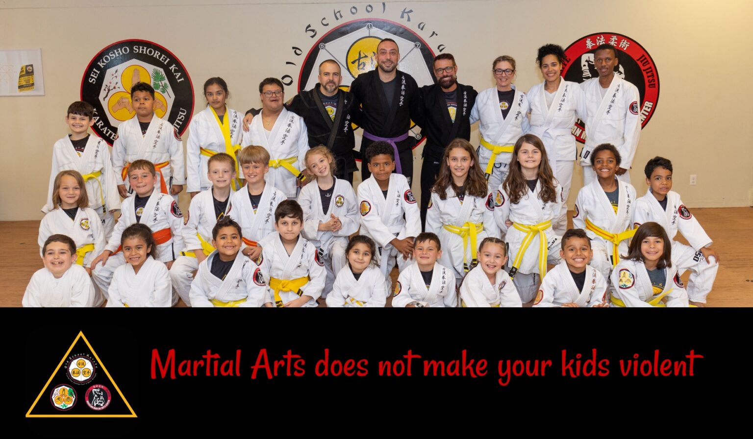 Martial Arts does not make your kids violent